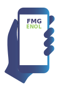 Report your vehicle incident online - FMG